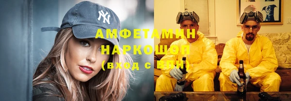 винт Абаза