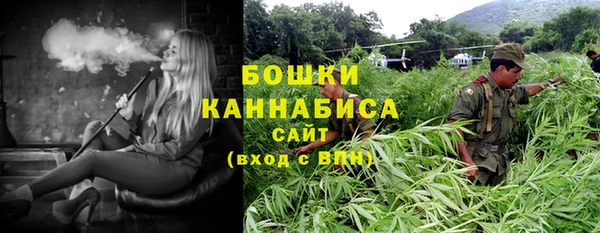 винт Абаза
