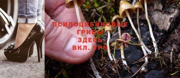 винт Абаза