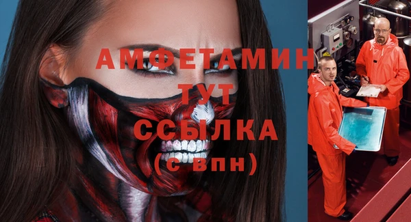 винт Абаза