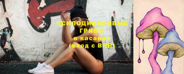 винт Абаза
