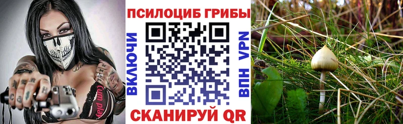 цены наркотик  Чишмы  Галлюциногенные грибы MAGIC MUSHROOMS 